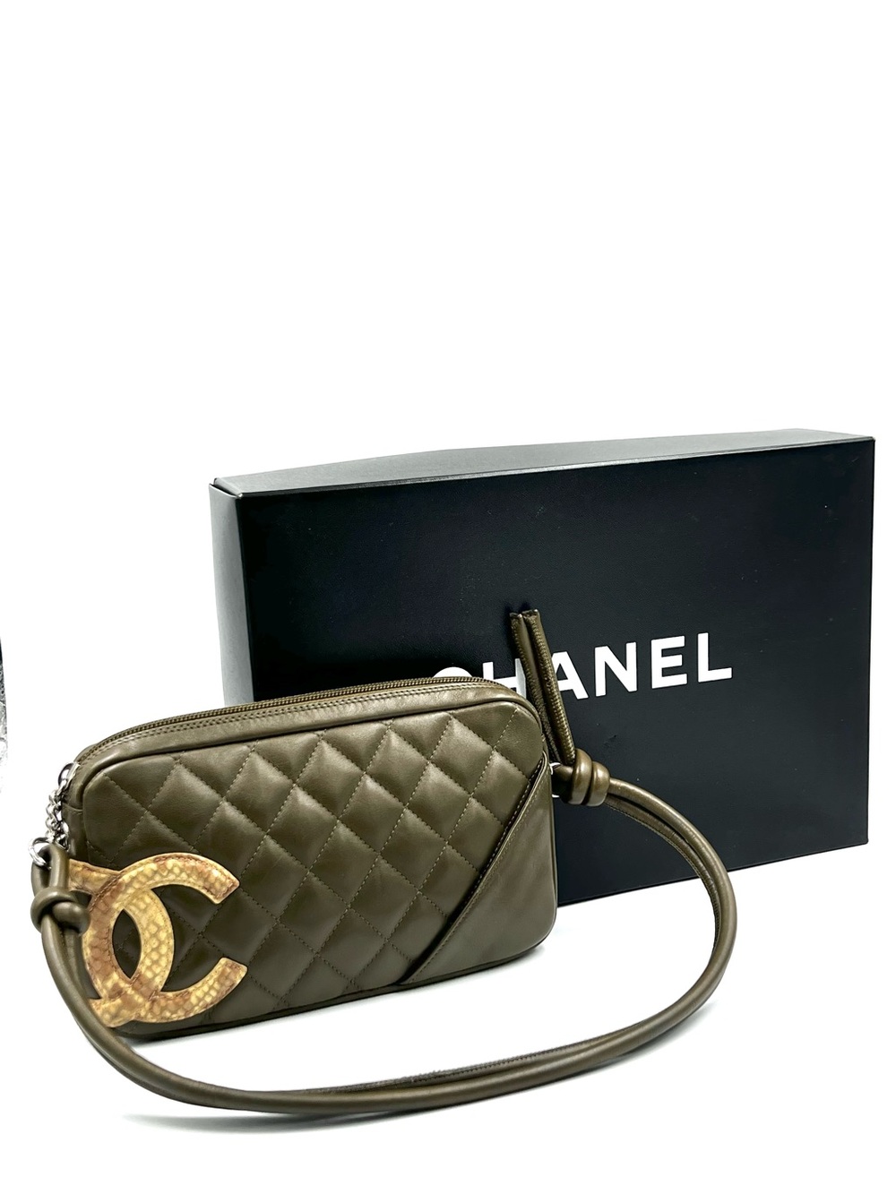Auth CHANEL Cambon Pouchette shoulder Bag Green & Tan Snake 🐍 Rare Like New!